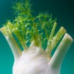 Fennel Recipes Fennel Recipes