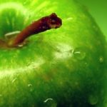 Nutrition Myths: Exposed Nutrition Myths: Exposed