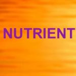 Resveratrol L-Theanine: Nutrient