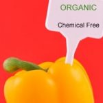 Why Choose Natural and Organic Products Why Choose Natural and Organic Products