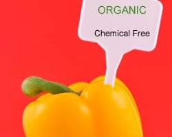 Why Choose Natural and Organic Products 