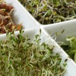 Raw, Sprouted Foods for Optimal Health Raw, Sprouted Foods for Optimal Health