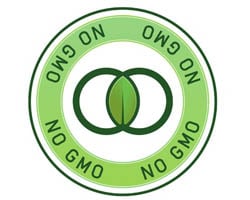 Genetically Modified Organisms: An Update 