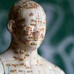 The 5 Elements of Traditional Chinese Medicine The 5 Elements of Traditional Chinese Medicine