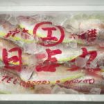 Disaster In Japan: Is Fish Safe To Eat? Disaster In Japan: Is Fish Safe To Eat?