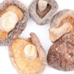 Medicinal Mushrooms: The Fascinating Fungi Medicinal Mushrooms: The Fascinating Fungi
