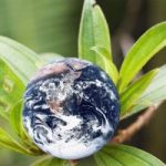 Reducing Carbon Footprint Reducing Carbon Footprint