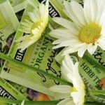 Bigelow Tea is Redefining 'Green' Tea Bigelow Tea is Redefining 'Green' Tea