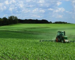 Canadians Tire of Toxic Fruits and Veggies 