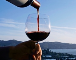 California Wines Get Sustainability Certification 