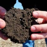 What Is Organic Sulfur? What Is Organic Sulfur?