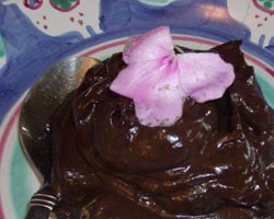 Chocolate Pudding 