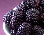Blackberry Compote Blackberry Compote