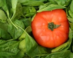 Stuffed Tomatoes 