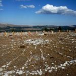 Sacred Medicine Wheel Sacred Medicine Wheel
