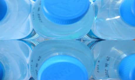 Is BPA A Developmental Toxicant? 