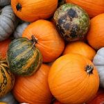 Should You Add Styrian Pumpkin Seed Oil to Your Diet? Should You Add Styrian Pumpkin Seed Oil to Your Diet?