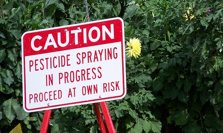 GMO Crops Create Superweeds 