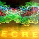 What are Telomeres? Do they Hold Secrets to Our Health? What are Telomeres? Do they Hold Secrets to Our Health?