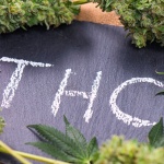 What “Microdosing” Really Means: A Physician’s Response to the THC Microdosing Trend What “Microdosing” Really Means: A Physician’s Response to the THC Microdosing Trend