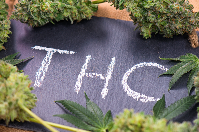 What “Microdosing” Really Means: A Physician’s Response to the THC Microdosing Trend 