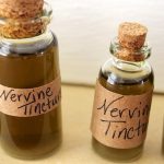 How to Make Herbal Tinctures How to Make Herbal Tinctures