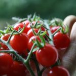 A Healthy Prostate: It's a Must for Every Man