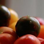 20 Recipes for Summer Tomatoes 