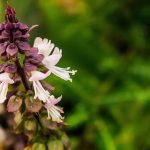 10 Ways to Get Rid of Anxiety Naturally 10 Ways to Get Rid of Anxiety Naturally