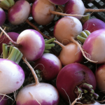 It’s Time We Honored Turnips + Recipes It’s Time We Honored Turnips + Recipes