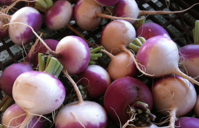 It’s Time We Honored Turnips + Recipes 