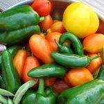 4 Reasons Eating Healthy, Seasonal Food is Better for You and the Planet 4 Reasons Eating Healthy, Seasonal Food is Better for You and the Planet