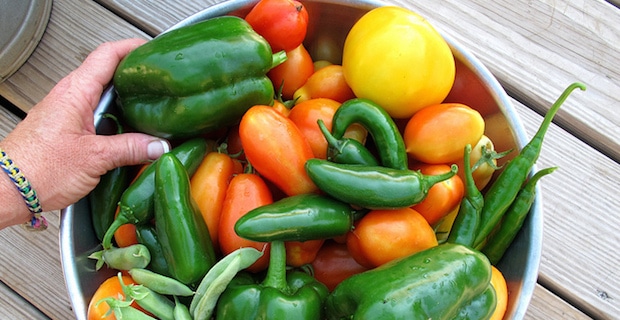 Are Bell Peppers Good for You? 4 Reasons to Eat More