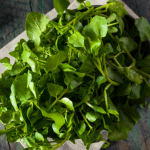 Watercress, Where Have You Been All Of Our Lives? + Recipes Watercress, Where Have You Been All Of Our Lives? + Recipes