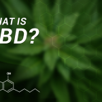 What CBD Hemp Oil Can Do For You and How It Works? What Is CBD Hemp Oil and Why Does It Work?