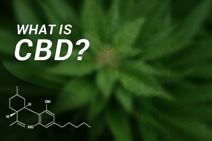 What Is CBD Hemp Oil and Why Does It Work? 