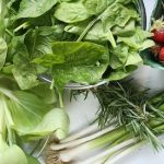 Back to the Wild: Modern Food Lacks Phytonutrients Back to the Wild: Modern Food Lacks Phytonutrients