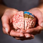 Best Nootropics You Need To Know About Best Nootropics