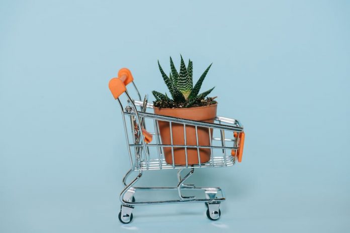 How to Shop For Aloe