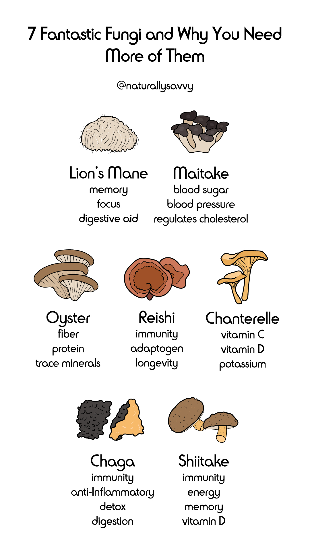 Oyster Mushroom Nutritional Benefits | Besto Blog