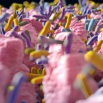 The Latest Research on Gut-Brain Health Latest Research on Gut Brain Health
