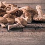 The Many Health Benefits of Mushrooms