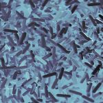 How Important is the Microbiome to Cardiovascular Health? probiotics cardiovascular health