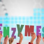 What Are Enzymes and Why We Need Them Enzymes What Are They and Why Do You Need Them