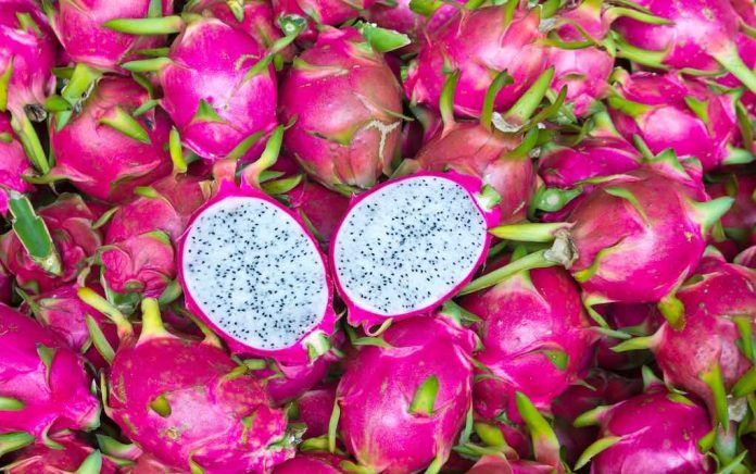 Dragon Fruit Benefits