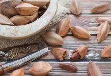 There's a New Nut in Town–Pili Nuts Pili Nut