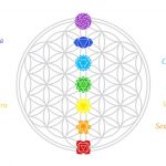 How to Balance Your Energy and Chakras with Food and Herbs Chakras Food Herbs