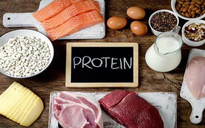 Protein for Menopause