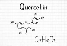 Can Quercetin Boost Your Immunity? Quercetin