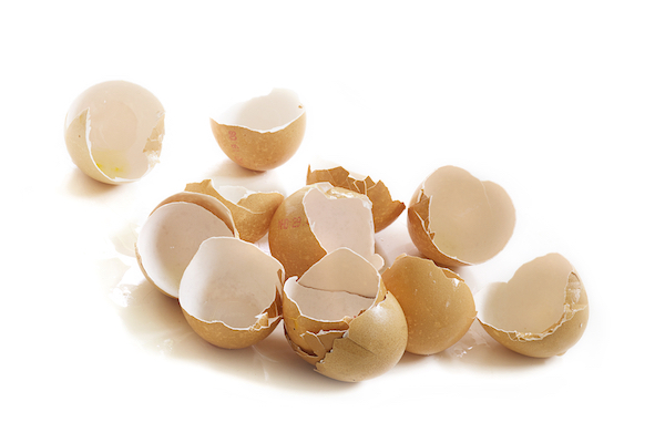 Perfectly Boiled Eggs  Nutrition Savvy Dietitian